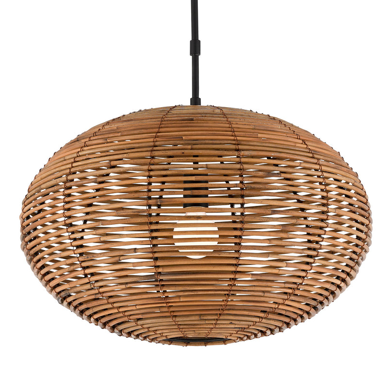 Currey and Company One Light Pendant from the Vanadis collection in Satin Black/Natural finish