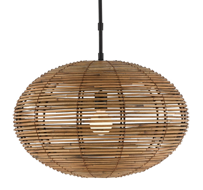 Currey and Company One Light Pendant from the Vanadis collection in Satin Black/Natural finish