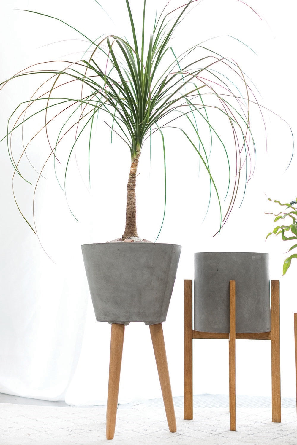 Design Shop Parkview Planter 11.75" X 9"