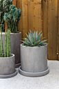 Design Shop Marta Pot with Saucer 14"x 12.25"