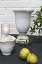 Design Shop Destiny Urn 8"x 12"