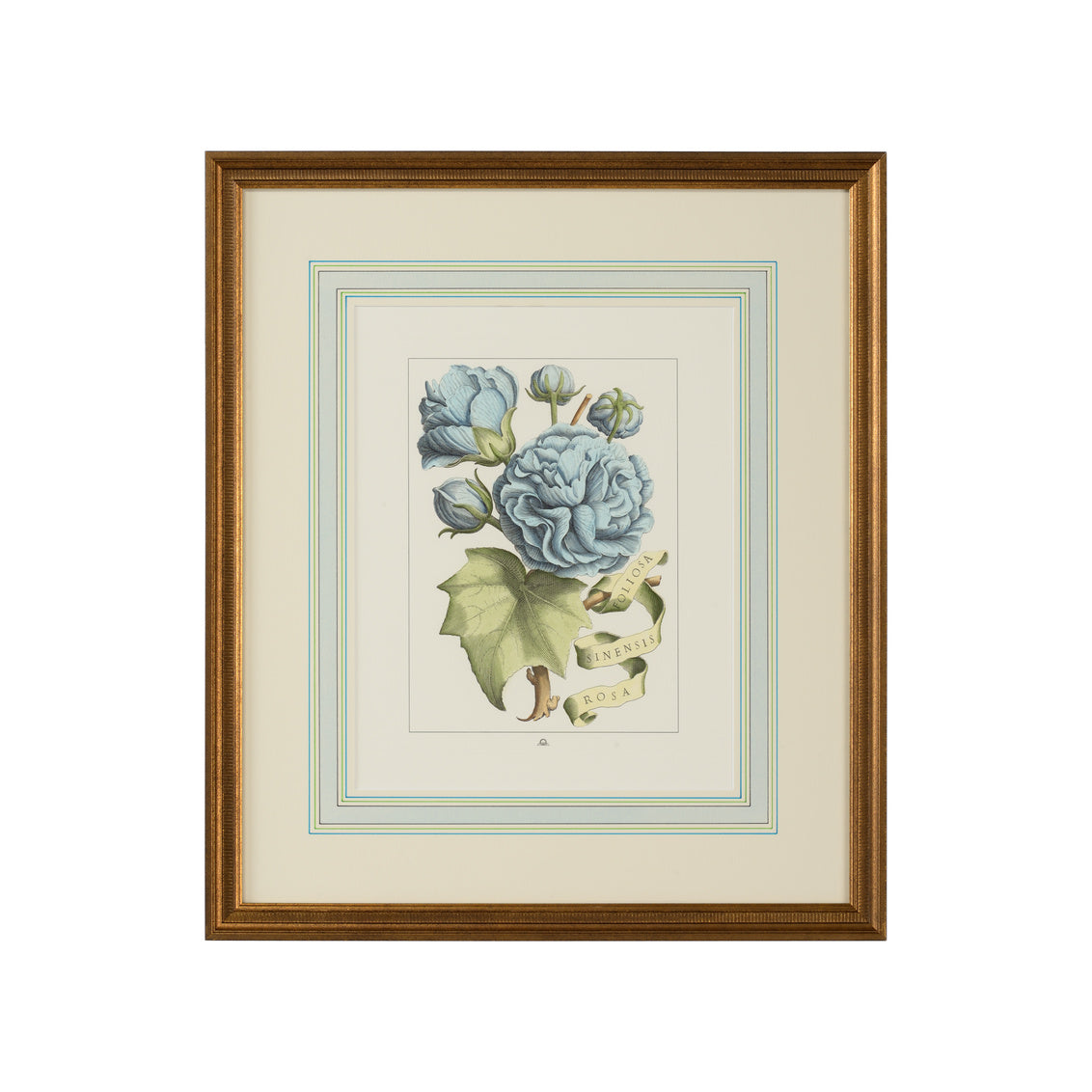 Chelsea House Bl Floral W/Ribbon-B