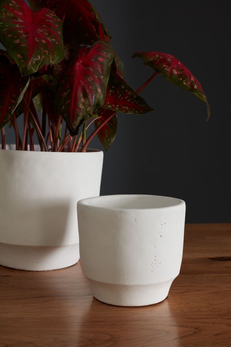 Design Shop White Glendale Collection Pot, 6