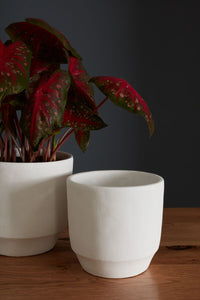 Design Shop White Glendale Collection Pot, 7" X 7".