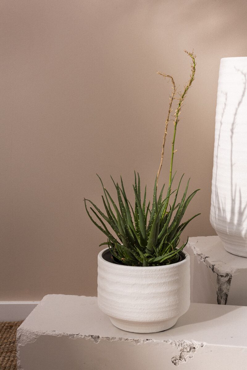 Design Shop White Andrade Collection Pot, 7.5" X 6".