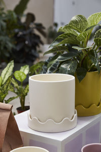 Design Shop Pissaro Pot with Saucer 7.5"x 7.25", Set of 2