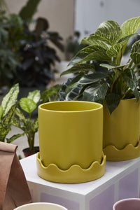 Design Shop Pissaro Pot with Saucer 7.5"x 7.25", Set of 2