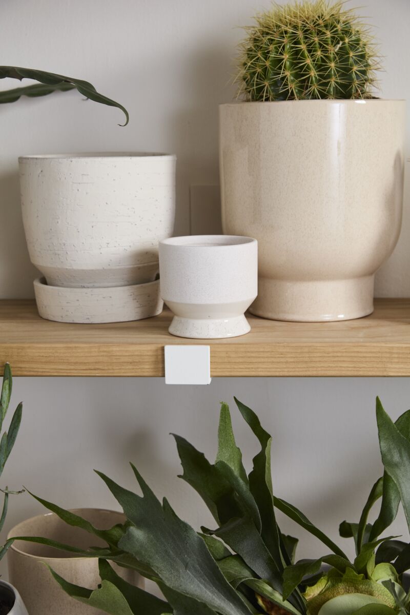 Design Shop Neutral Pasadena Pot 4.5"x 4.25", Set of 4
