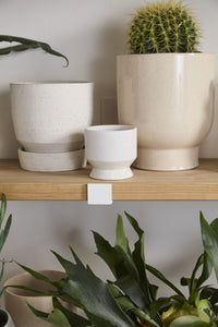Design Shop Neutral Pasadena Pot 4.5"x 4.25", Set of 4