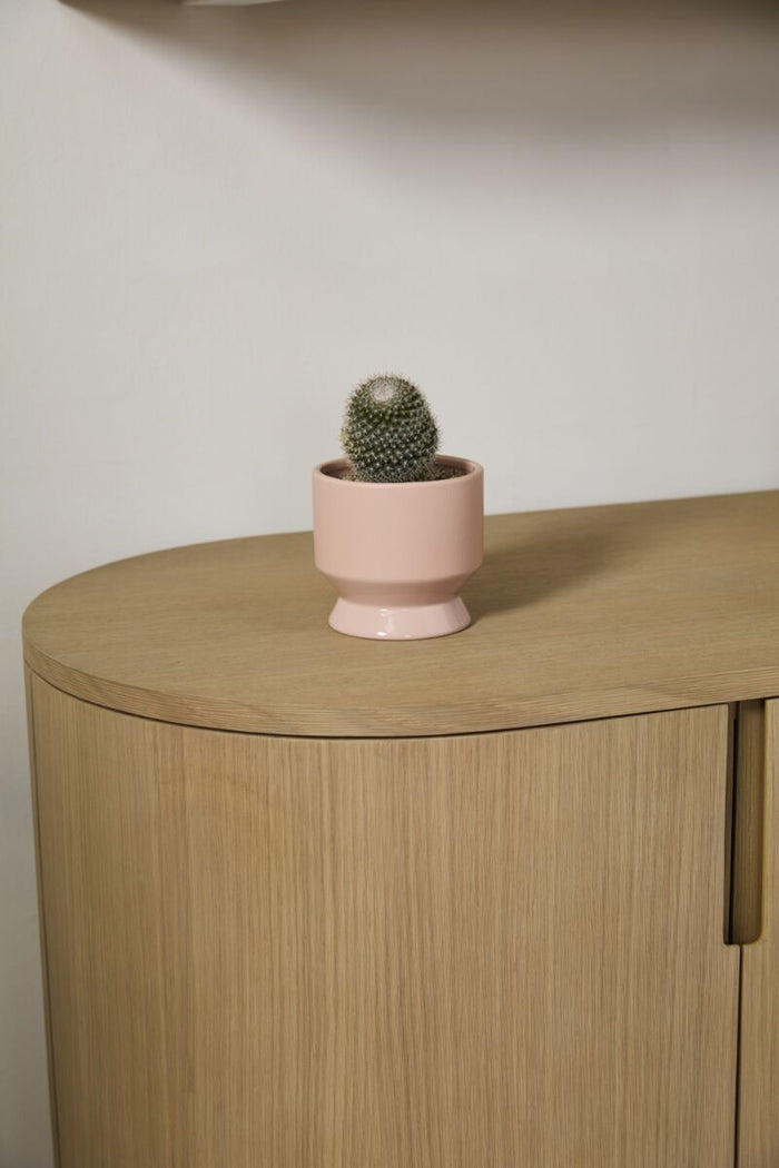 Small cactus in a pink pot on a wooden surface with a neutral background