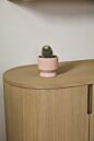 Design Shop Pasadena Pot 4.5"x 4.25", Set of 4