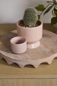 Design Shop Pasadena Pot 4.5"x 4.25", Set of 4
