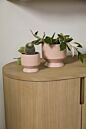 Design Shop Pasadena Pot 4.5"x 4.25", Set of 4