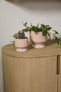 Design Shop Pasadena Pot 4.5"x 4.25", Set of 4