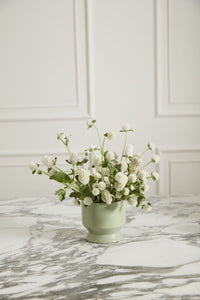 Design Shop Pasadena Pot 4.5"x 4.25", Set of 4
