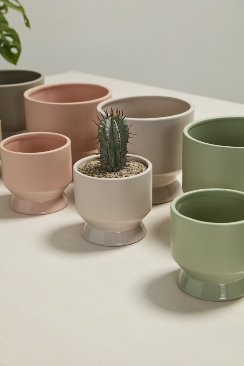 Design Shop Neutral Pasadena Pot 4.5"x 4.25", Set of 4