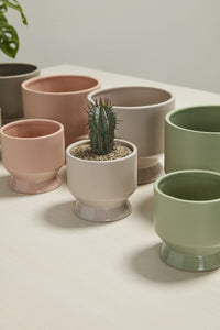 Design Shop Neutral Pasadena Pot 4.5"x 4.25", Set of 4