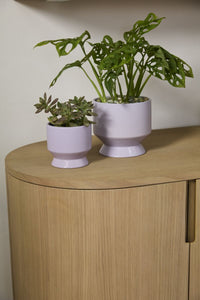 Design Shop Pasadena Pot 4.5"x 4.25", Set of 4