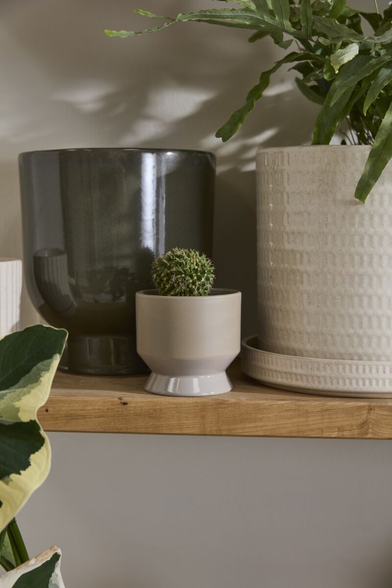 Design Shop Neutral Pasadena Pot 4.5"x 4.25", Set of 4