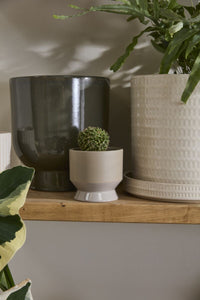 Design Shop Neutral Pasadena Pot 4.5"x 4.25", Set of 4