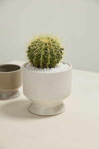 Design Shop Neutral Pasadena Pot 6.25"x 6", Set of 2