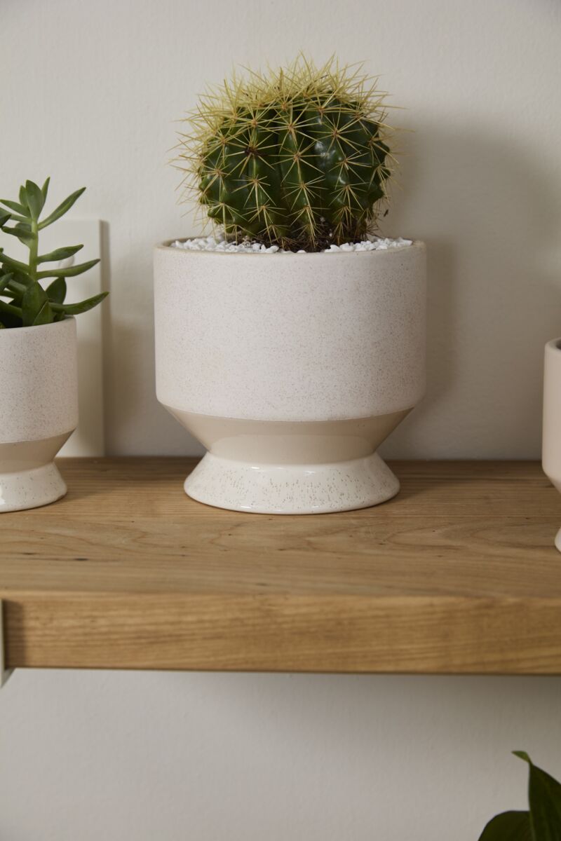 Design Shop Neutral Pasadena Pot 6.25"x 6", Set of 2