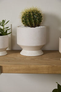 Design Shop Neutral Pasadena Pot 6.25"x 6", Set of 2