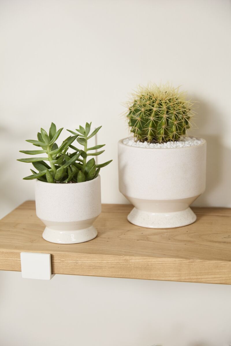 Design Shop Neutral Pasadena Pot 6.25"x 6", Set of 2