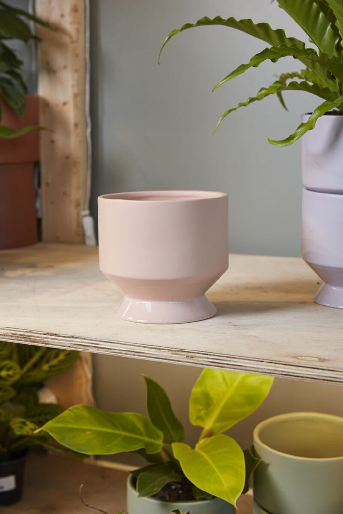 Pink ceramic pot on a wooden shelf with green plants
