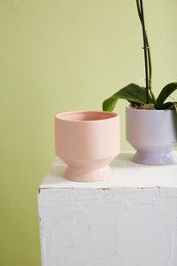 Design Shop Pasadena Pot 6.25"x 6"