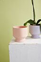 Design Shop Pasadena Pot 6.25"x 6"
