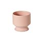Design Shop Pasadena Pot 6.25"x 6"