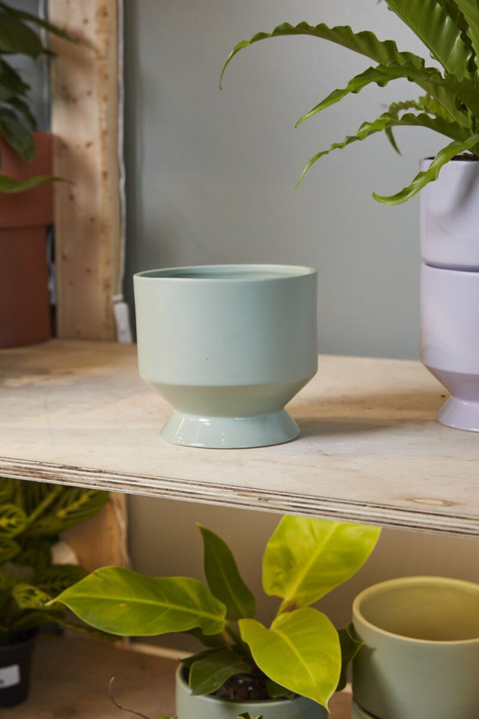 Design Shop Pasadena Pot 6.25"x 6"