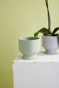 Design Shop Pasadena Pot 6.25"x 6"