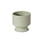 Design Shop Pasadena Pot 6.25"x 6"