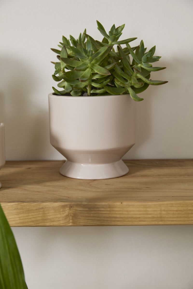 Design Shop Neutral Pasadena Pot 6.25"x 6", Set of 2