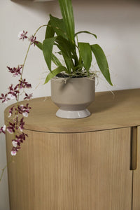 Design Shop Neutral Pasadena Pot 6.25"x 6", Set of 2