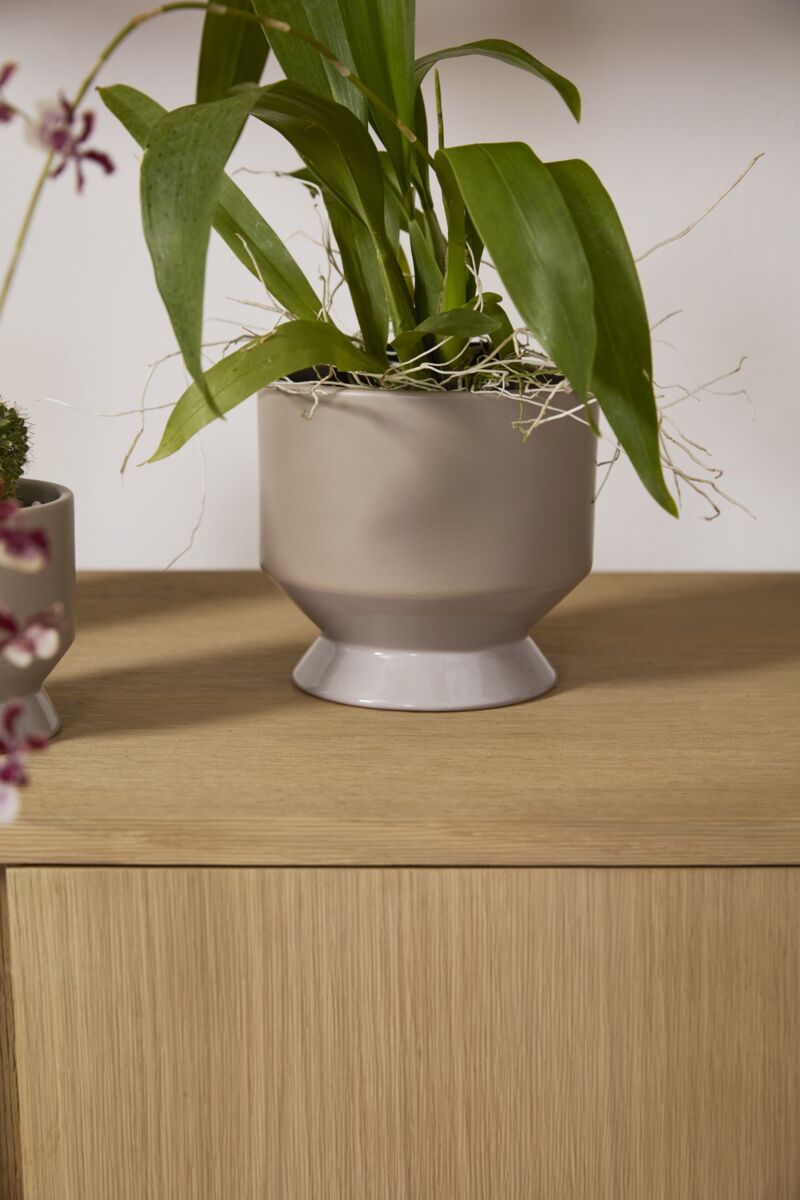 Design Shop Neutral Pasadena Pot 6.25"x 6", Set of 2
