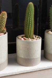 Design Shop White Downy Pot, 4.5" X 4.5", Set of 2.