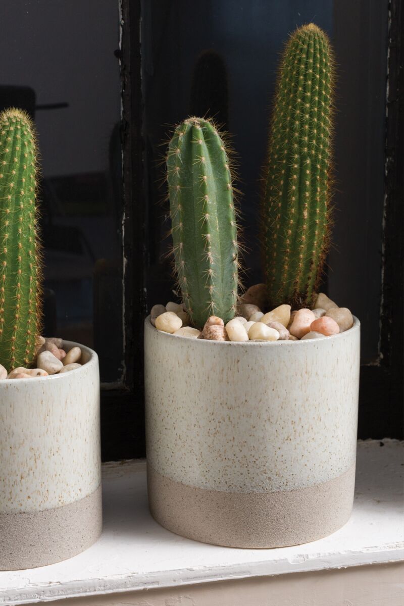 Design Shop White Downy Pot, 5.5" X 5", Set of 2.