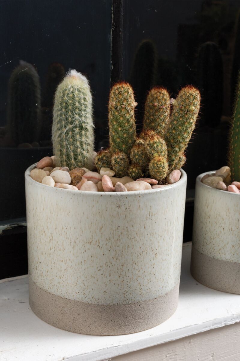 Design Shop White Downy Pot, 6.5" X 5.5"