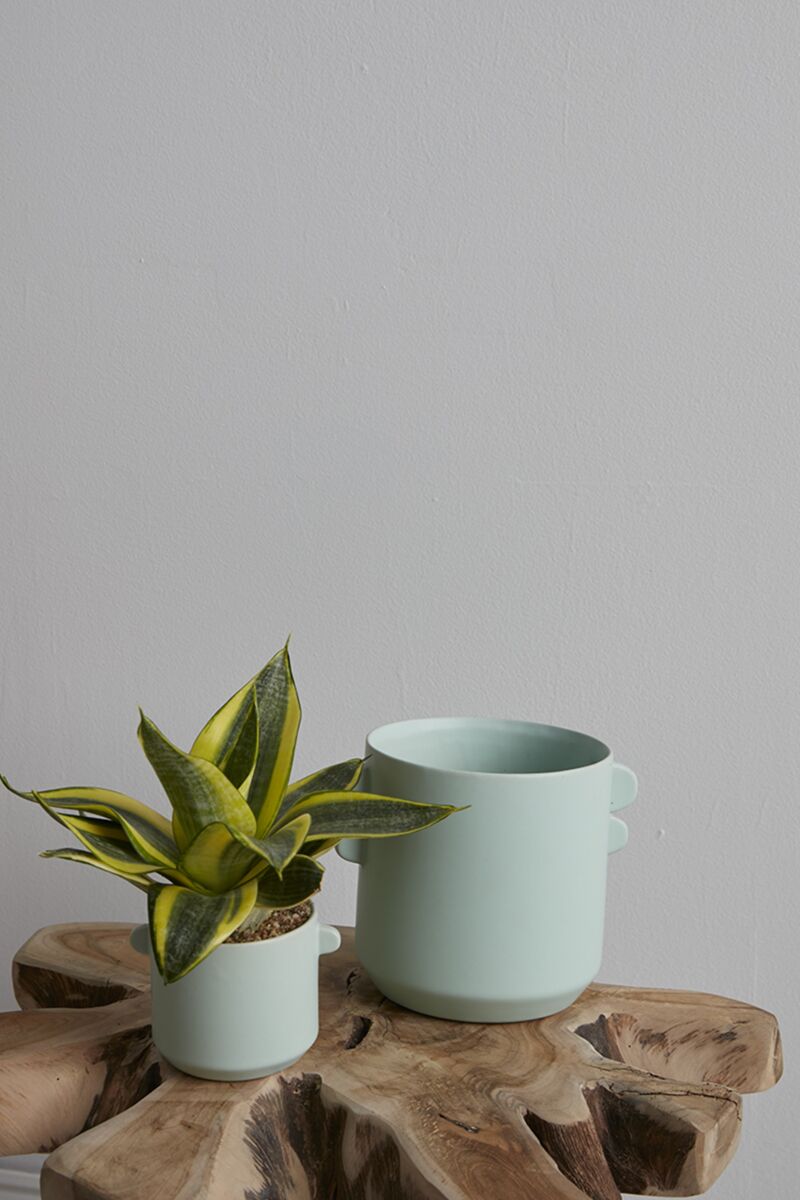 Design Shop Mint Jamye Pot, 6.5" X 5", Set of 2.