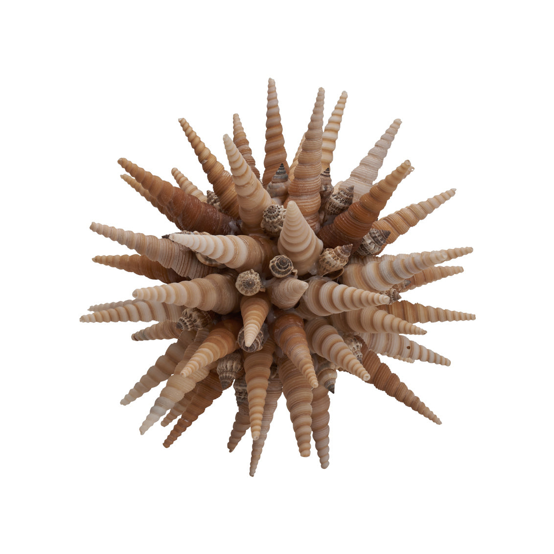 Chelsea House Marlin Shell Ball (Sm)