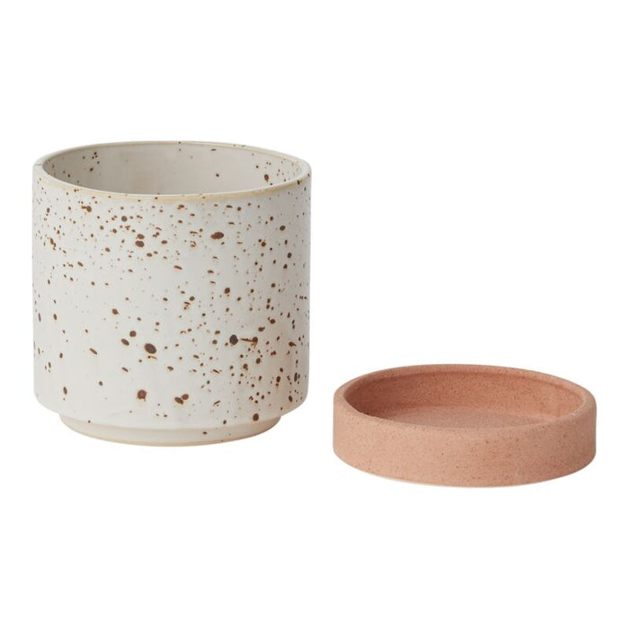 Design Shop White Briar Pot, 5" X 5.25"