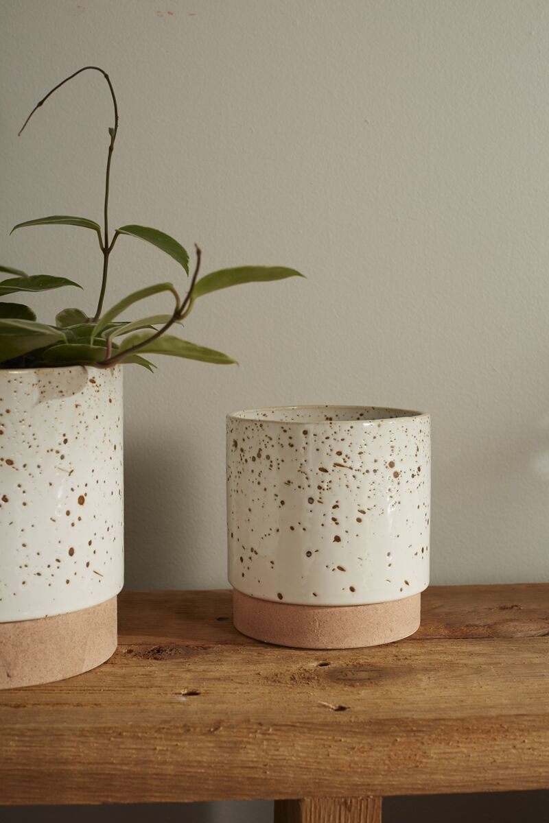 Design Shop White Briar Pot, 5" X 5.25"
