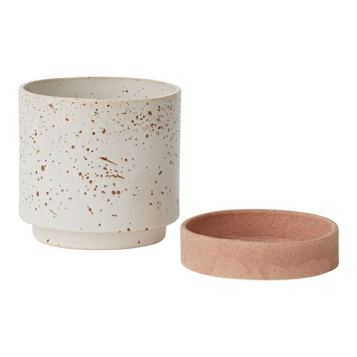 Design Shop White Briar Pot, 6.5" X 6.75".