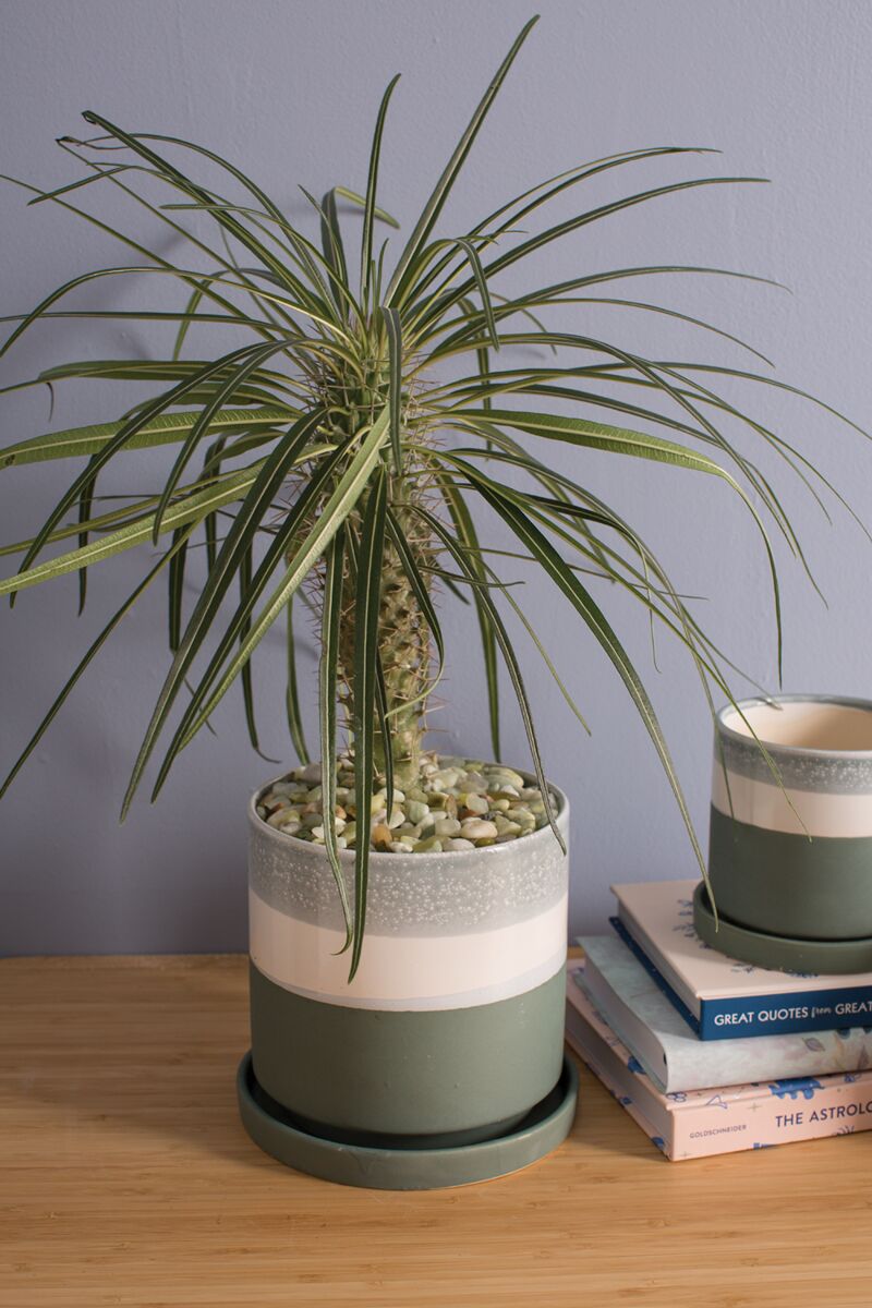 Design Shop Blue Greer Pot, 7" X 6.5".