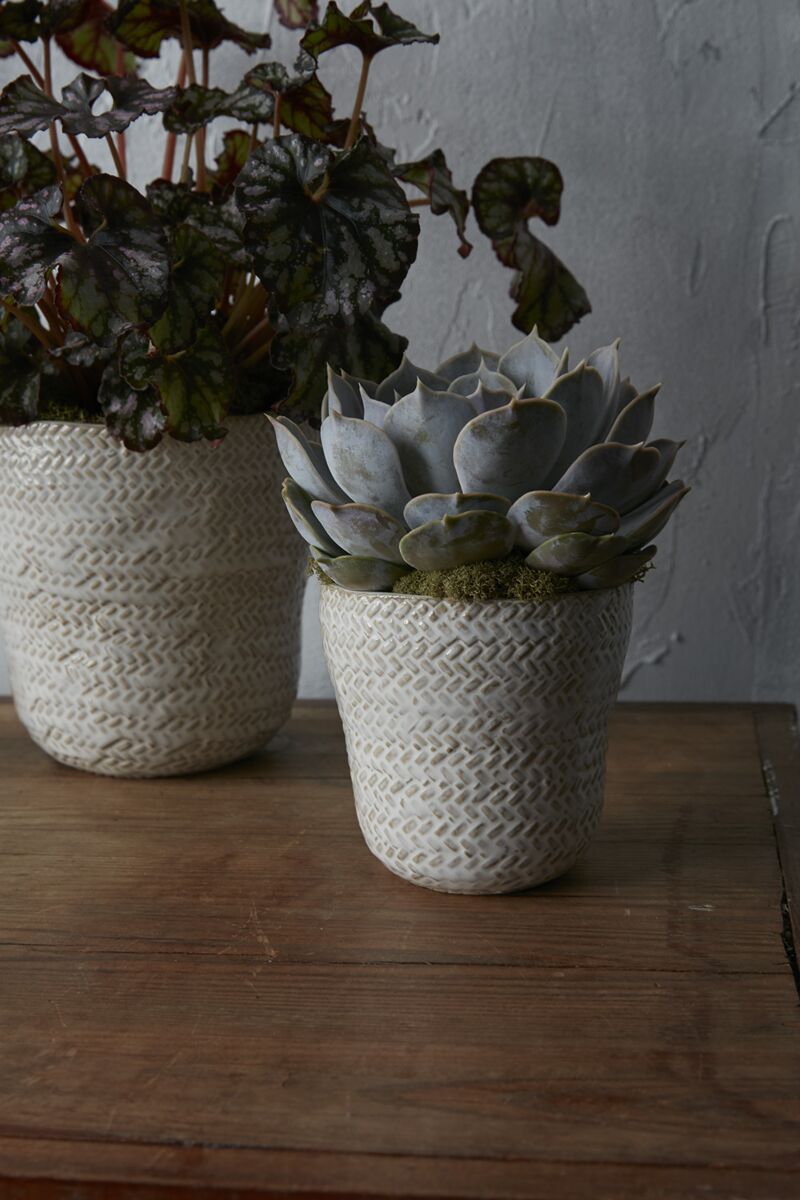 Design Shop White Amstel Pot, 4.25" X 4.25", Set of 4.