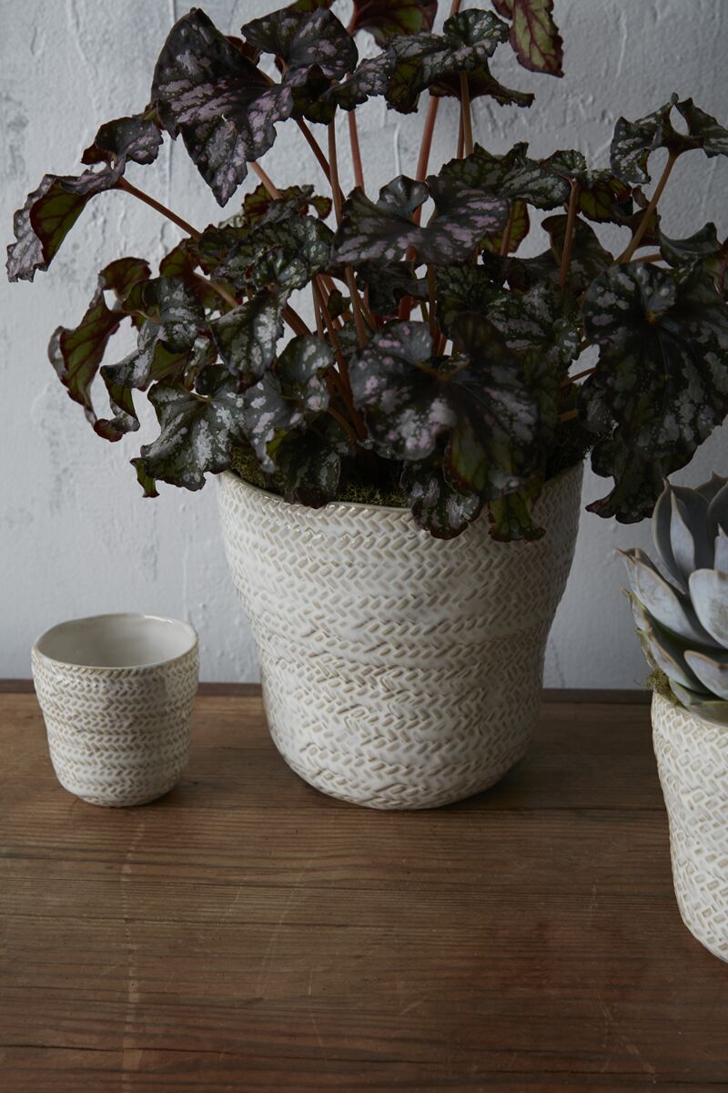 Design Shop White Amstel Pot, 6.5" X 6.25"