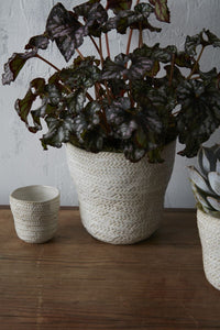 Design Shop White Amstel Pot, 6.5" X 6.25"